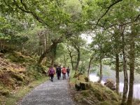 3. Reisetag – Glenveagh-Nationalpark und Rundfahrt durch Donegal – Wandern im Glenveagh-Nationalpark