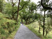 3. Reisetag – Glenveagh-Nationalpark und Rundfahrt durch Donegal – Wandern im Glenveagh-Nationalpark