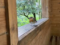 3. Reisetag – Glenveagh-Nationalpark und Rundfahrt durch Donegal – Ein neuer Freund