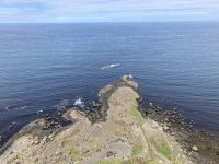 4. Reisetag – Tagesausflug nach Nordirland – Am Giant’s Causeway