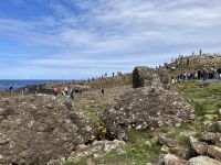 4. Reisetag – Tagesausflug nach Nordirland – Am Giant’s Causeway