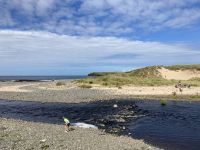 4. Reisetag – Tagesausflug nach Nordirland – zusätzliche Wanderung vom Causeway zum Golfclub