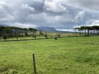 5. Reisetag – Von Letterkenny nach Leenane – Wanderung um die Halbinsel Mullaghmore – Blick zum Ben Bulben