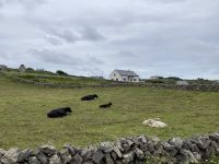 6. Reisetag – Wandern auf den Aran Islands