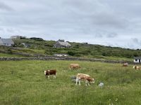 6. Reisetag – Wandern auf den Aran Islands
