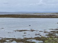 6. Reisetag – Wandern auf den Aran Islands