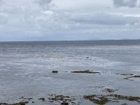 6. Reisetag – Wandern auf den Aran Islands