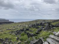 6. Reisetag – Wandern auf den Aran Islands – Stachelbarrikaden