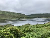 7. Reisetag – Von Leenane nach Gort – Fotostopp am Killary Harbour