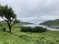 7. Reisetag – Von Leenane nach Gort – Fotostopp am Killary Harbour