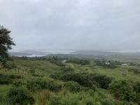 7. Reisetag – Von Leenane nach Gort – Regenwanderung im Connemara-Nationalpark