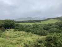 7. Reisetag – Von Leenane nach Gort – Regenwanderung im Connemara-Nationalpark