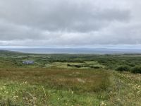 8. Reisetag – Burren & Klippen – Wanderung auf dem Burren Way