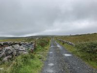 8. Reisetag – Burren & Klippen – Wanderung auf dem Burren Way