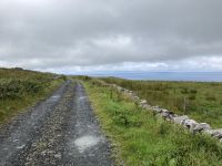 8. Reisetag – Burren & Klippen – Wanderung auf dem Burren Way