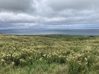 8. Reisetag – Burren & Klippen – Wanderung auf dem Burren Way