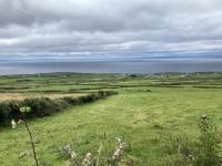 8. Reisetag – Burren & Klippen – Wanderung auf dem Burren Way