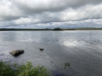 9. Reisetag – Von Gort nach Tralee – „7 Woods Trail“ in Coole Park – Turlough