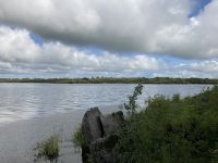 9. Reisetag – Von Gort nach Tralee – „7 Woods Trail“ in Coole Park – Turlough