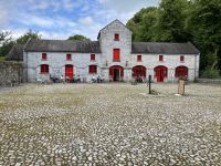 9. Reisetag – Von Gort nach Tralee – „7 Woods Trail“ in Coole Park