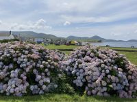 10. Reisetag – Ring of Kerry – Mittagspause in Waterville