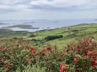 10. Reisetag – Ring of Kerry – Zusatzwanderung zum Derrynane Beach