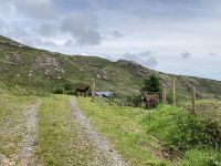 10. Reisetag – Ring of Kerry – Zusatzwanderung zum Derrynane Beach