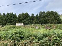 10. Reisetag – Ring of Kerry – Zusatzwanderung zum Derrynane Beach