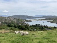 10. Reisetag – Ring of Kerry – Zusatzwanderung zum Derrynane Beach