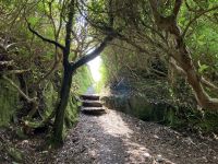 10. Reisetag – Ring of Kerry – Zusatzwanderung zum Derrynane Beach