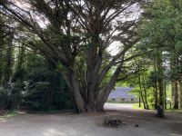 10. Reisetag – Ring of Kerry – Spaziergang zum Torc Waterfall & Muckross House