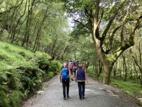 12. Reisetag – Ein Tag in den Wicklow Mountains – Wanderung in Glendalough