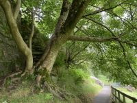 12. Reisetag – Ein Tag in den Wicklow Mountains – Wanderung in Glendalough