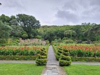 Glenveagh Castle Gardens