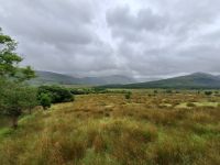 Connemara