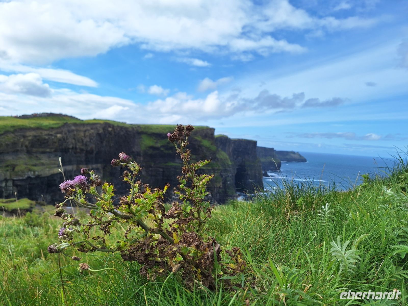 Cliffs of Moher