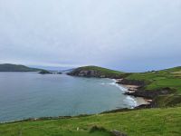 Dingle