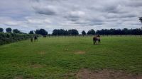 212 – Irland, National Stud, Kildare