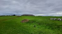 Carrowmore_Fields