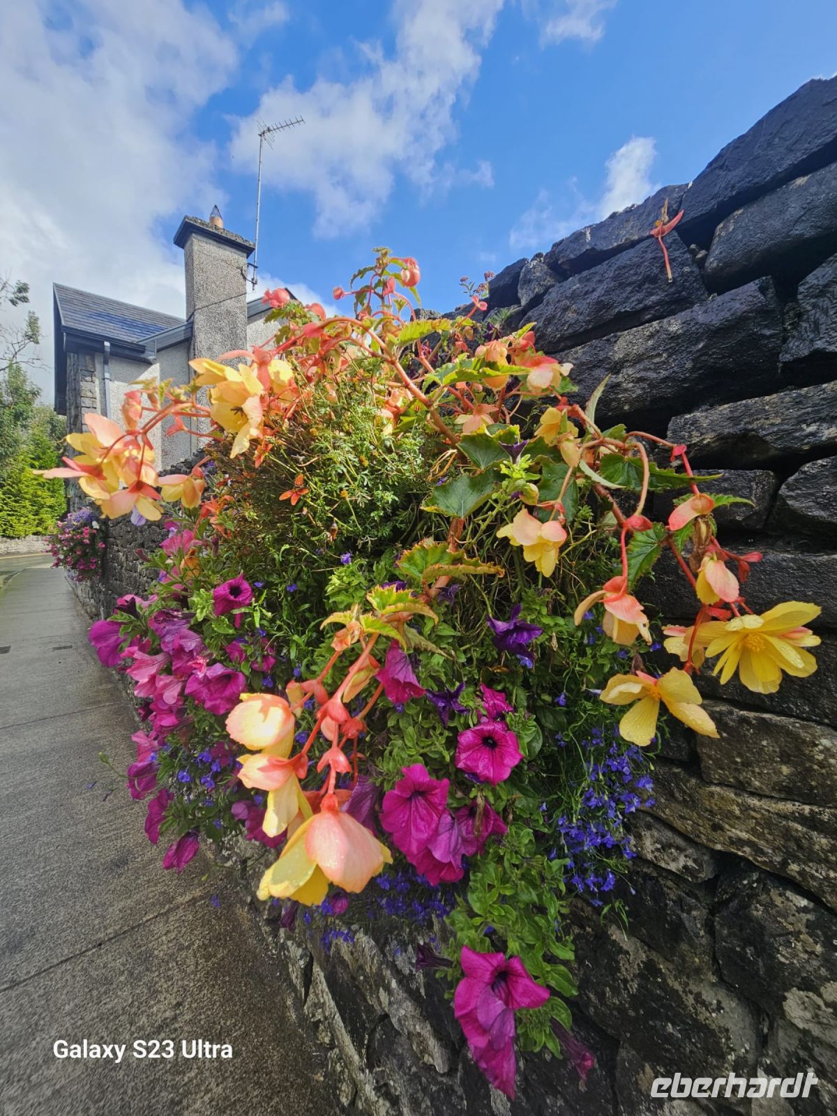 überall Blumen.....