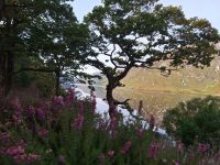 Glenveagh Nationalpark
