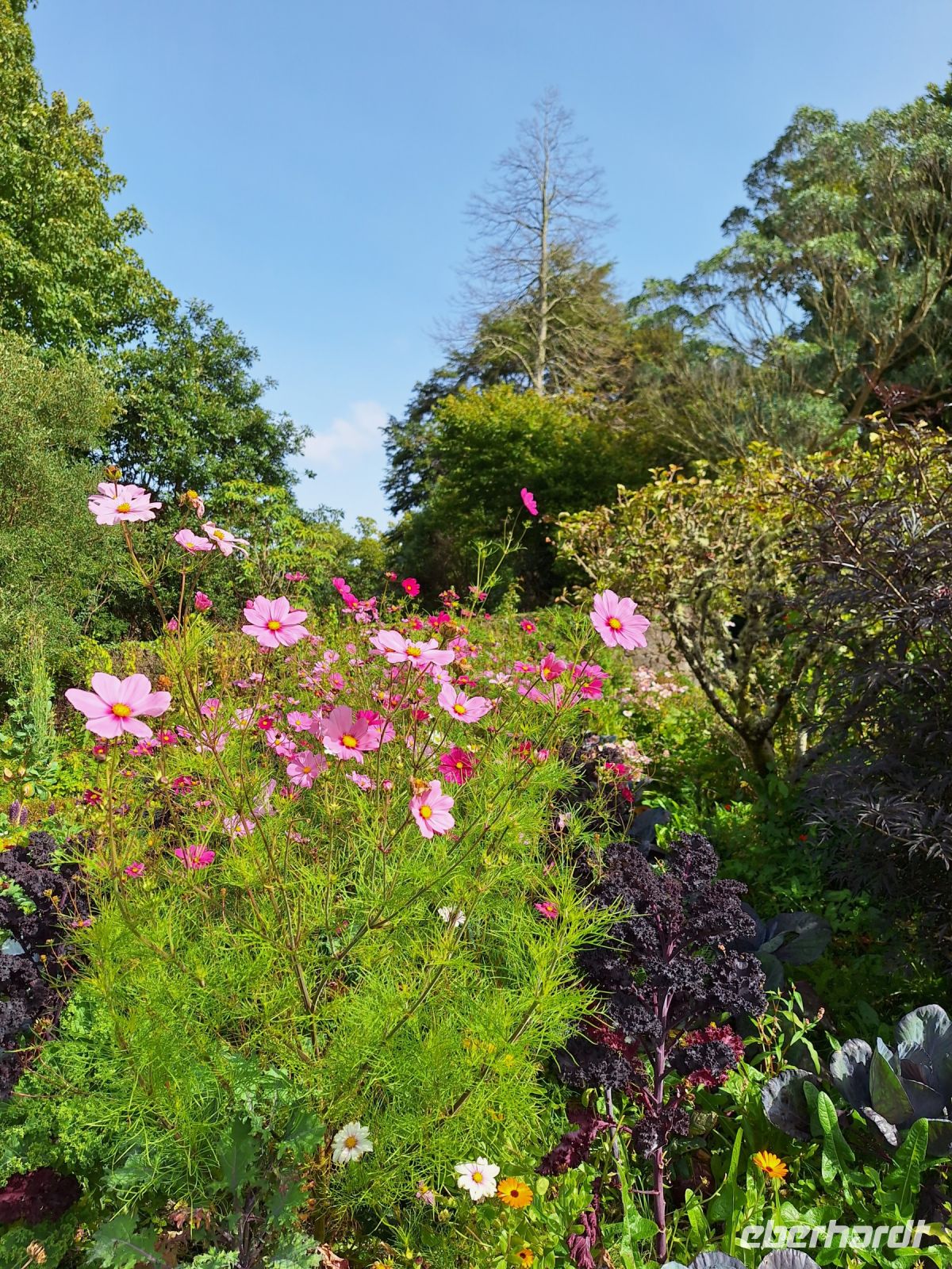 Glenveagh Castle Gardens