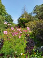 Glenveagh Castle Gardens