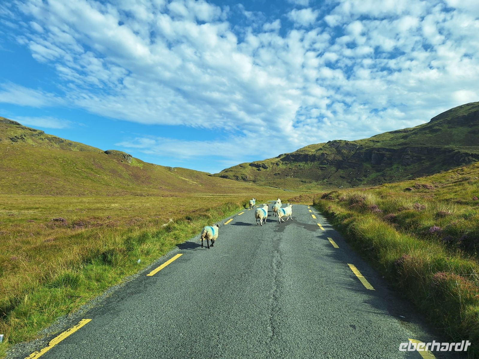 Derryveagh Mountains