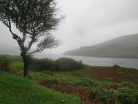 Killary Fjord im Nebel