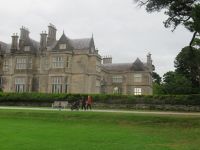  Muckross House
