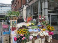  Blumenstand in der Grafton Street