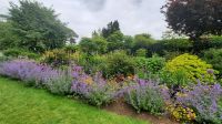 216 – Irland, National Stud, Kildare