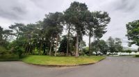 217 – Irland, National Stud, Kildare