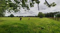 218 – Irland, National Stud, Kildare